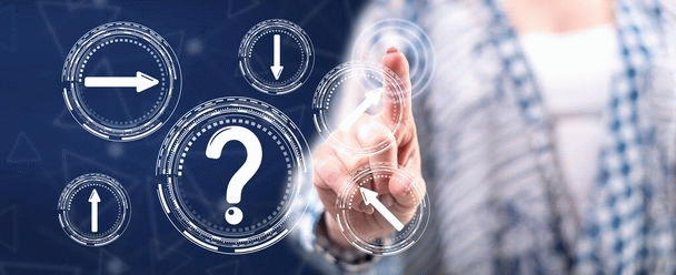 17 نکته جالب درباره لابرادور رتریور، محبوب‌ترین نژاد سگ دنیا